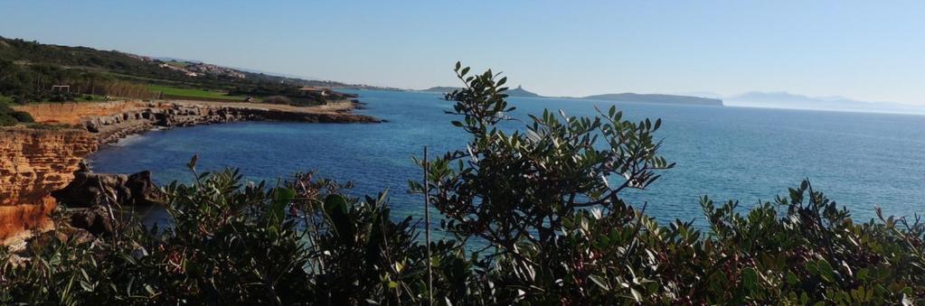 Arangioa - Senafer - Villa Funtana Meiga Exteriör bild