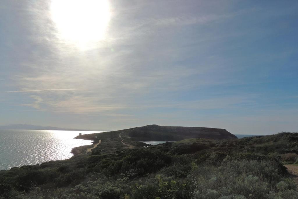 Arangioa - Senafer - Villa Funtana Meiga Exteriör bild